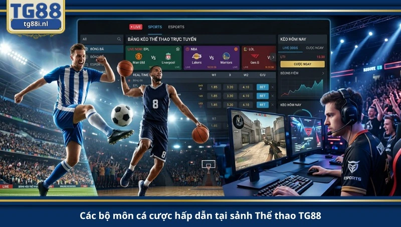 Các bộ môn cá cược hấp dẫn tại sảnh Thể thao TG88.