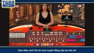 Giao diện chơi Tài xỉu trực tuyến đẳng cấp tại nhà cái.