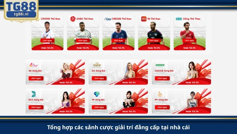 Tổng hợp các sảnh cược giải trí đẳng cấp tại nhà cái.