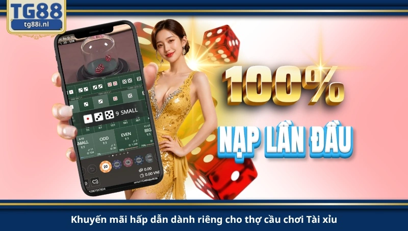Khuyến mãi hấp dẫn dành riêng cho thợ cầu chơi Tài xỉu.