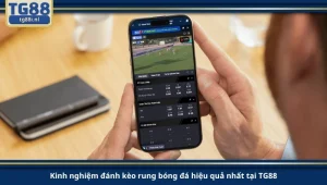 Kinh nghiệm đánh kèo rung bóng đá hiệu quả nhất tại TG88.