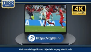 Link xem bóng đá trực tiếp chất lượng HD sắc nét.