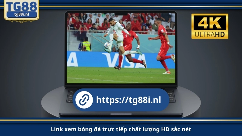 Link xem bóng đá trực tiếp chất lượng HD sắc nét.