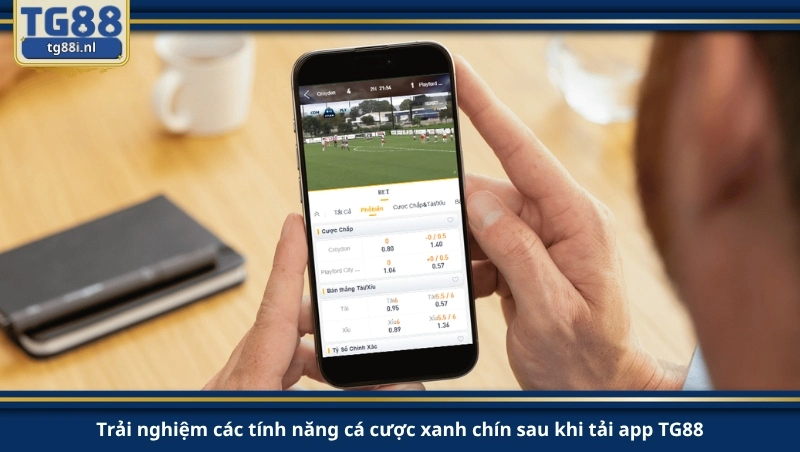 Trải nghiệm các tính năng cá cược xanh chín sau khi tải app TG88.
